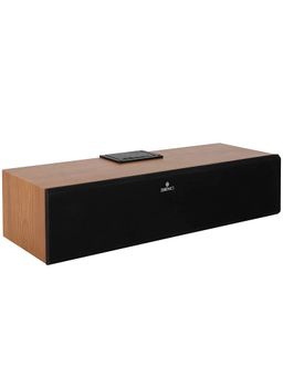 Zebronics - Zeb-Music Feast 100