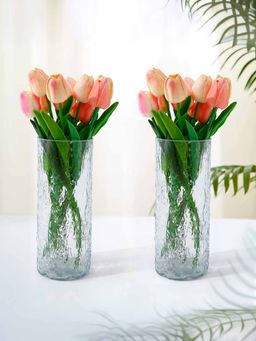 Gleevers - Transparent Glass Solid Vases (Pack Of 2)