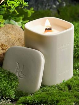 Absorbia - White Ebony Agilawood Scented Candle