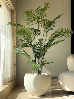 Mason Home - Artificial Lush Green Areca 6 Ft Palm
