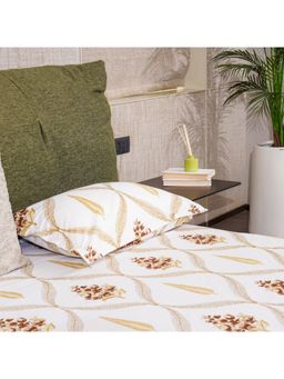 Urban Space - Serene 200 Tc Cotton Bedsheets with Pillow Cover Brown