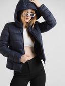 Navy Blue 3