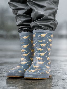 Little Surprise Box - Mr. Rex Rockwood Rubber Rain Gumboots for Kids - Grey
