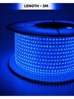 SPARKWORLD - 1200 LEDs 3 m Blue Steady Strip Rice Lights (Pack of 1)