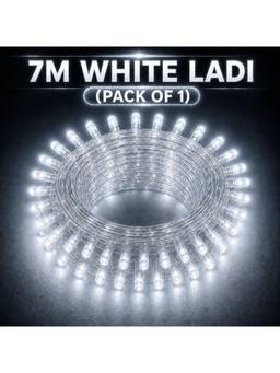 SPARKWORLD - 22 LEDs 7 m White Steady Bulb Rice Lights (Pack of 1)