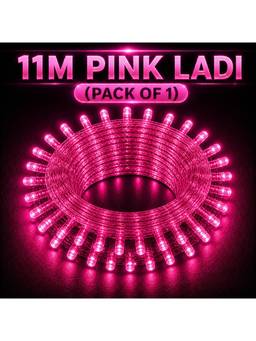SPARKWORLD - 40 LEDs 11 m Pink Steady Bulb Rice Lights (Pack of 1)