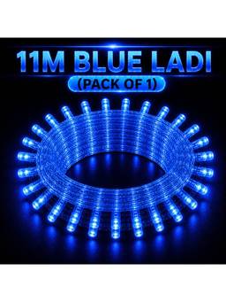 SPARKWORLD - 40 LEDs 11 m Blue Steady Bulb Rice Lights (Pack of 1)