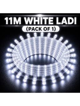 SPARKWORLD - 40 LEDs 11 m White Steady Bulb Rice Lights (Pack of 1)