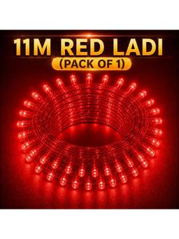 SPARKWORLD - 40 LEDs 11 m Red Steady Bulb Rice Lights (Pack of 1)
