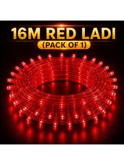 SPARKWORLD - 58 LEDs 16 m Red Steady Bulb Rice Lights (Pack of 1)