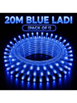 SPARKWORLD - 74 LEDs 20 m Blue Steady Bulb Rice Lights (Pack of 1)