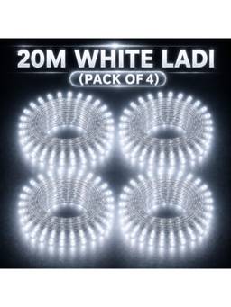 SPARKWORLD - 74 LEDs 20 m White Steady Bulb Rice Lights (Pack of 4)