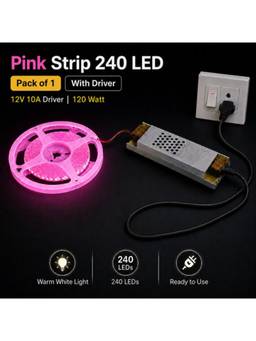 SPARKWORLD - 1 LEDs 5 m Pink Steady Strip Rice Lights (Pack of 1)