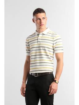 Van Heusen - Men Multi-Color Stripes Collar Neck Polo T-Shirt