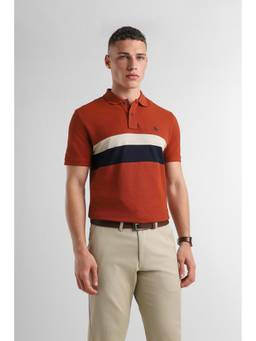 Van Heusen - Men Rust Colorblock Collar Neck Polo T-Shirt