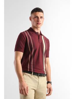 Van Heusen - Men Maroon Stripes Collar Neck Polo T-Shirt