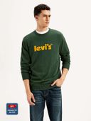 Green color option, Currently selected