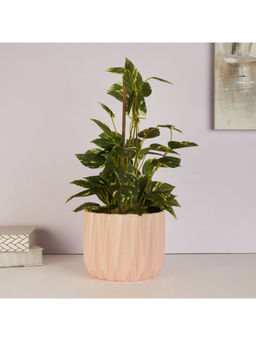 HomeTown - Alura Ceramic Planter in Pink Colour
