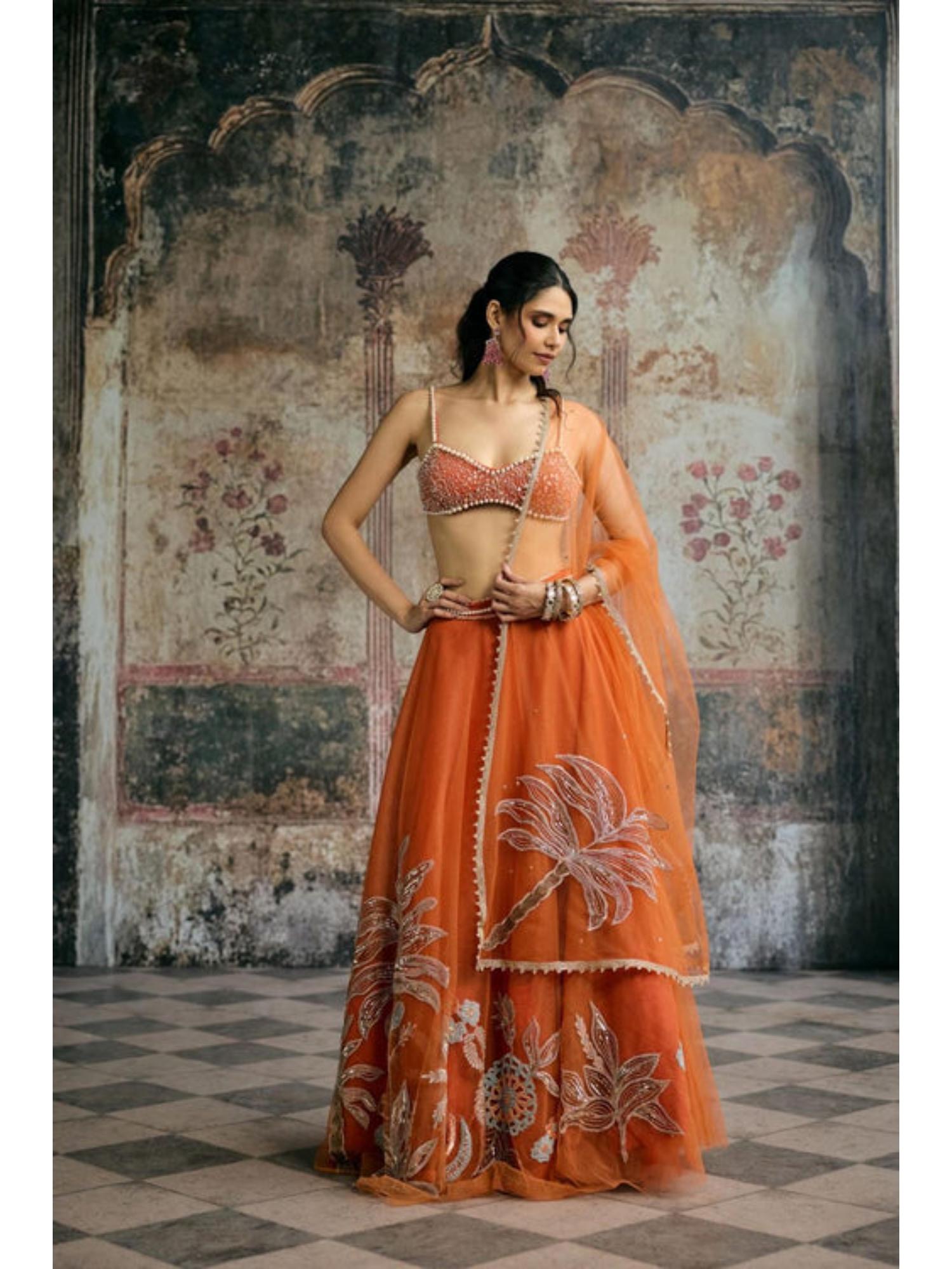 Sahana Orange Hand Embroidered Blouse-image-2