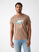 Brown color option