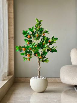 Mason Home - Tropical Orange Plant
