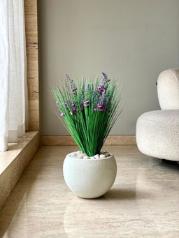 Mason Home - Green Liriope Grass Bunch