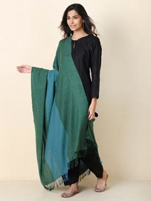fabindia woolen shawl