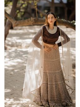 Nikita Vishakha - Brown Embroidered Blouse with Lehenga and Dupatta (Set of 3)