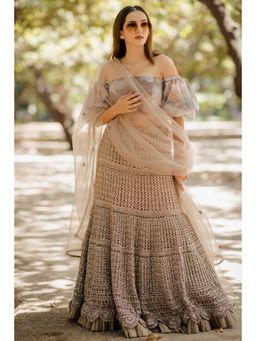 Nikita Vishakha - Brown Mesh Embroidered Blouse with Lehenga and Dupatta (Set of 3)