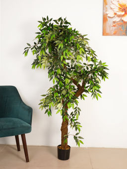 ARICK DECOR - 6Ft Artificial Green Twisted Eucalyptus Tree with Braided Pot