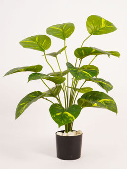 ARICK DECOR - Artificial Green Money 65Cm Faux Pothos Tropical Plant with Pot