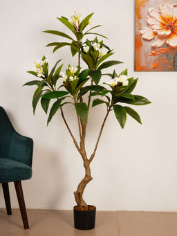 ARICK DECOR - 5Ft Artificial Frangipani Green Plumeria Flowering Tree with Pot