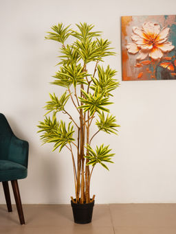 ARICK DECOR - 5.6Ft Artificial Green Dracaena Reflexa Tree with Pot