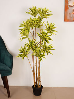 ARICK DECOR - 5Ft Artificial Green Dracaena Reflexa Tree with Pot