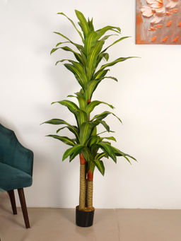 ARICK DECOR - 6Ft Artificial Green Dracaena Reflexa Tree with Pot