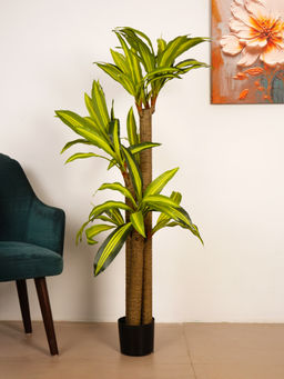 ARICK DECOR - 5Ft Artificial Green Dracaena Reflexa Tree with Pot