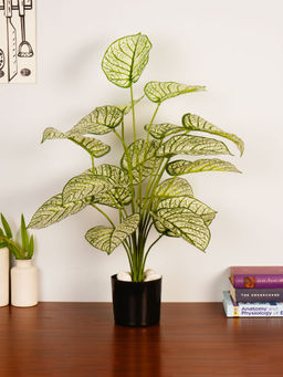 ARICK DECOR - Artificial White Dieffenbachia 65Cm Faux Dumb Cane Tropical Plant with Pot