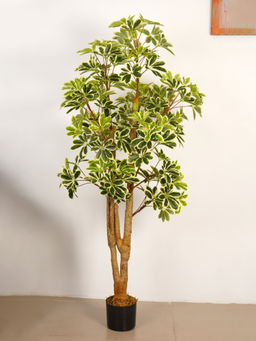 ARICK DECOR - 6Ft Artificial Green Umbrella Schefflera Tree in Pot