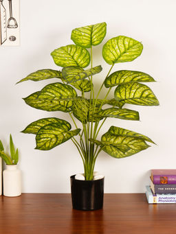 ARICK DECOR - Artificial Green Dieffenbachia 65Cm Faux Dumb Cane Tropical Plant with Pot