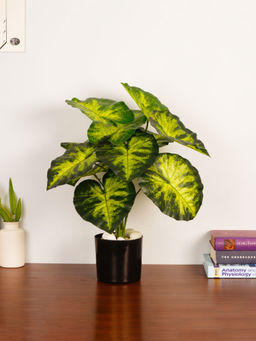 ARICK DECOR - Artificial Green Dieffenbachia 55Cm Faux Dumb Cane Tropical Plant with Pot