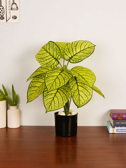 ARICK DECOR - Artificial Green Dieffenbachia 55Cm Faux Dumb Cane Tropical Plant with Pot