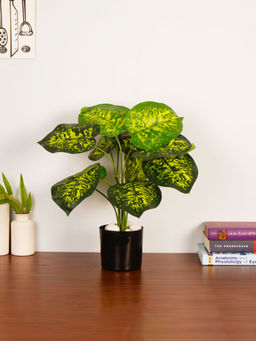 ARICK DECOR - Artificial Green Dieffenbachia 55Cm Faux Dumb Cane Tropical Plant with Pot