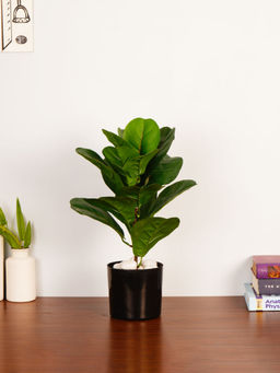 ARICK DECOR - 1.6Ft Artificial Green Fiddle Leaf Fig Plant with Pot