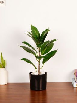ARICK DECOR - 1.8Ft Artificial Green Rubber Plant with Pot