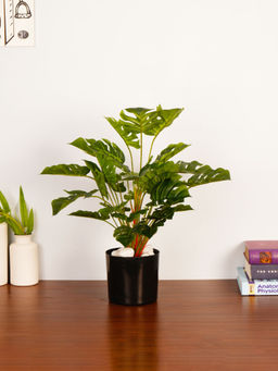 ARICK DECOR - 1.8Ft Artificial Green Monstera Deliciosa Plant with Pot