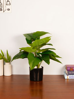 ARICK DECOR - 1.8Ft Artificial Green Philodendron Plant with Pot