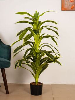 ARICK DECOR - 4Ft Artificial Green Variegated Dracaena Plant with Pot