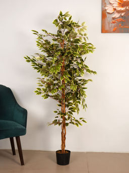 ARICK DECOR - 6Ft Artificial Green Variegated Ficus Tree in Pot
