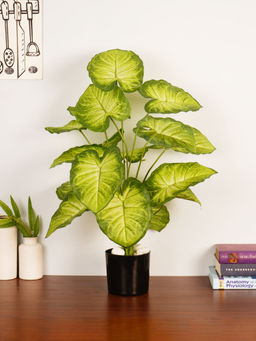 ARICK DECOR - Artificial Green Dieffenbachia 65Cm Faux Dumb Cane Tropical Plant with Pot
