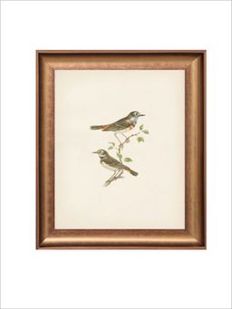 The Vintage Artistry - Brown & Green Vintage Birds Wall Painting With Frame